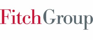 Fitch Group Logo