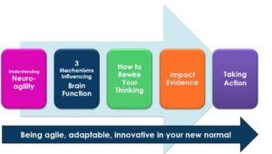 Improving brain fitness and neuro-agility